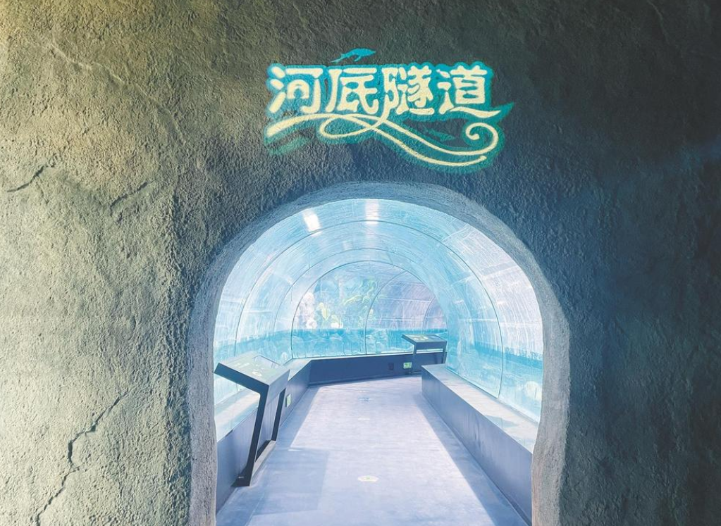 1784861168187809.png